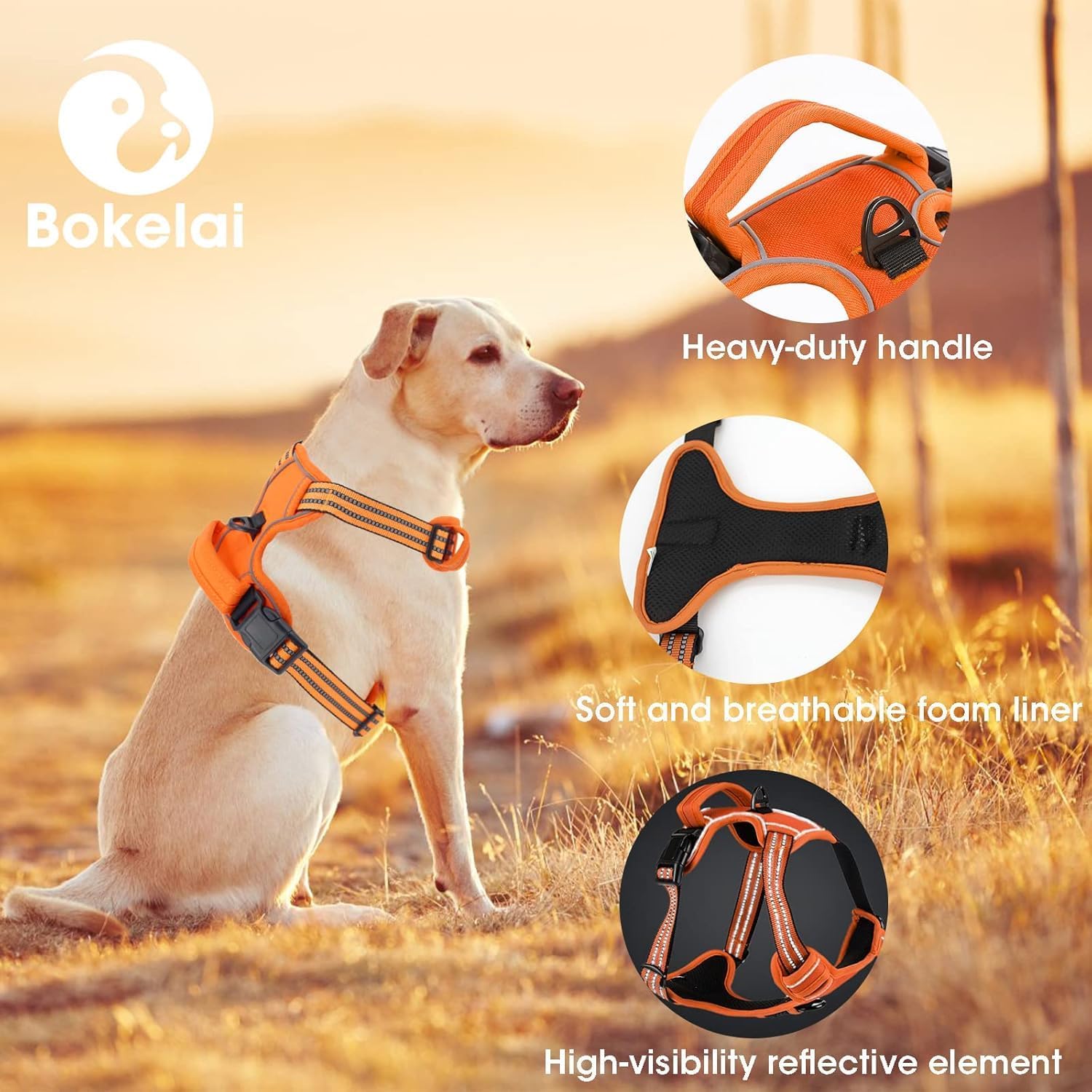 No Pull Dog Harness for Medium Dog with Dog Leash Adjustable Reflective Pet Vest with Front Clip Padded Harness and Lead Set Orange M