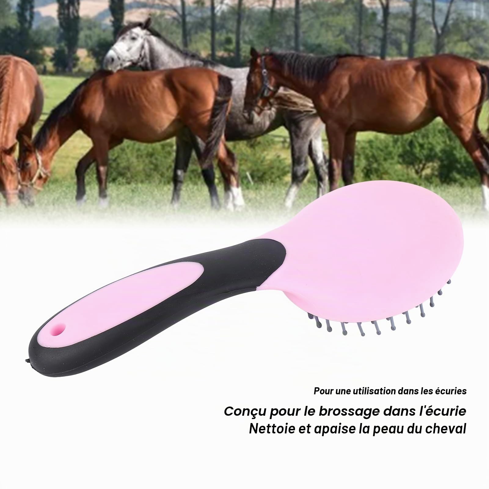 Brosse Démêlante pour Crinière et Queue, Brosse de Nettoyage en Cuir à Poils de Cheval à Poils Longs, Peigne de Toilettage Professionnel pour Chevaux, Peigne Forky pour Chevaux
