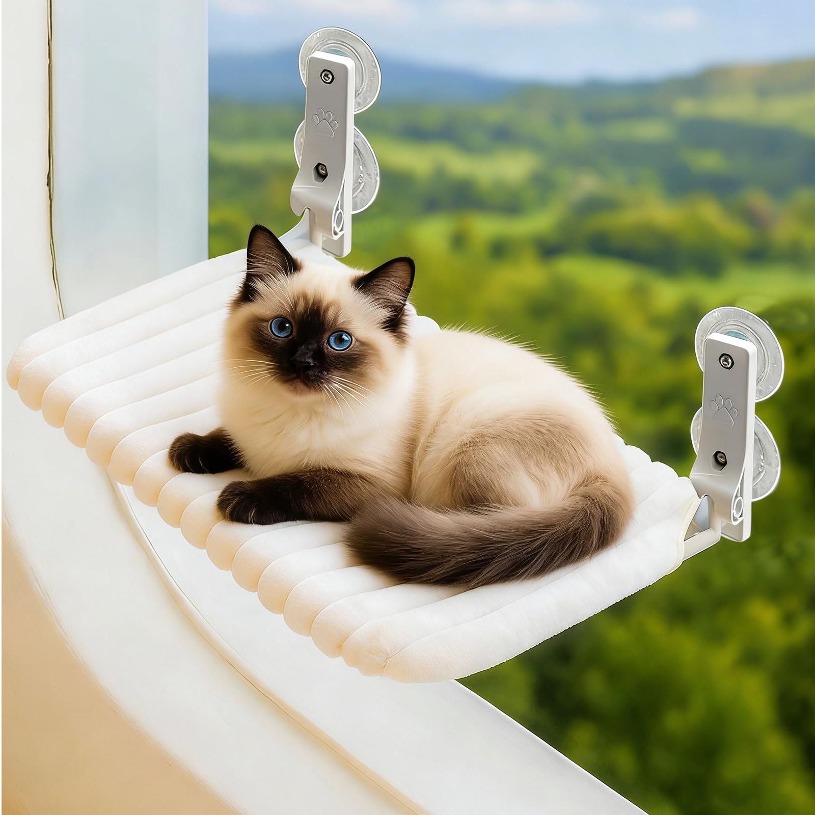 Perchoir fenêtre pour chat idéal pour les siestes au soleil et observer les oiseaux