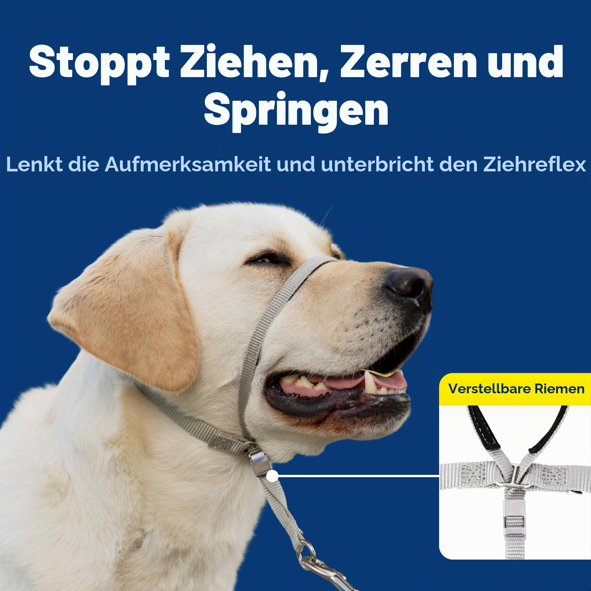 PetSafe Gentle Leader Hundekopfhalsband, die ultimative Lösung gegen Ziehen, leitet das Ziehen des Hundes um, für einfachere Spaziergänge, hilft dir, die Kontrolle wiederzuerlangen, Größe L, Anthrazit