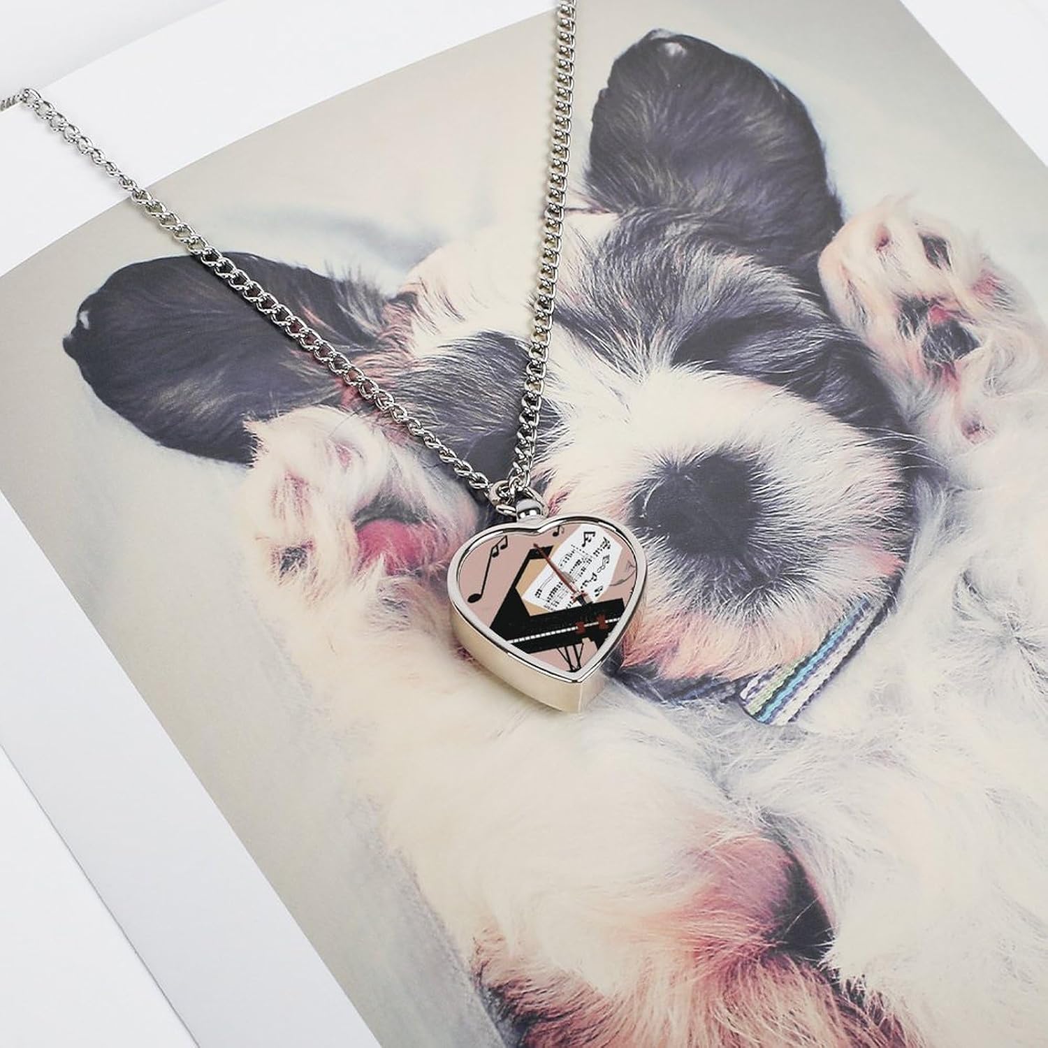 Custom Piano Violin Music Notes Urn Necklaces for Ashes Memorial Pet Necklace with Filling Kit Adjustable 27.6" Chain Funerary Cremation Jewelry Keepsake Heart Pendant for Beloved Dogs & Cats