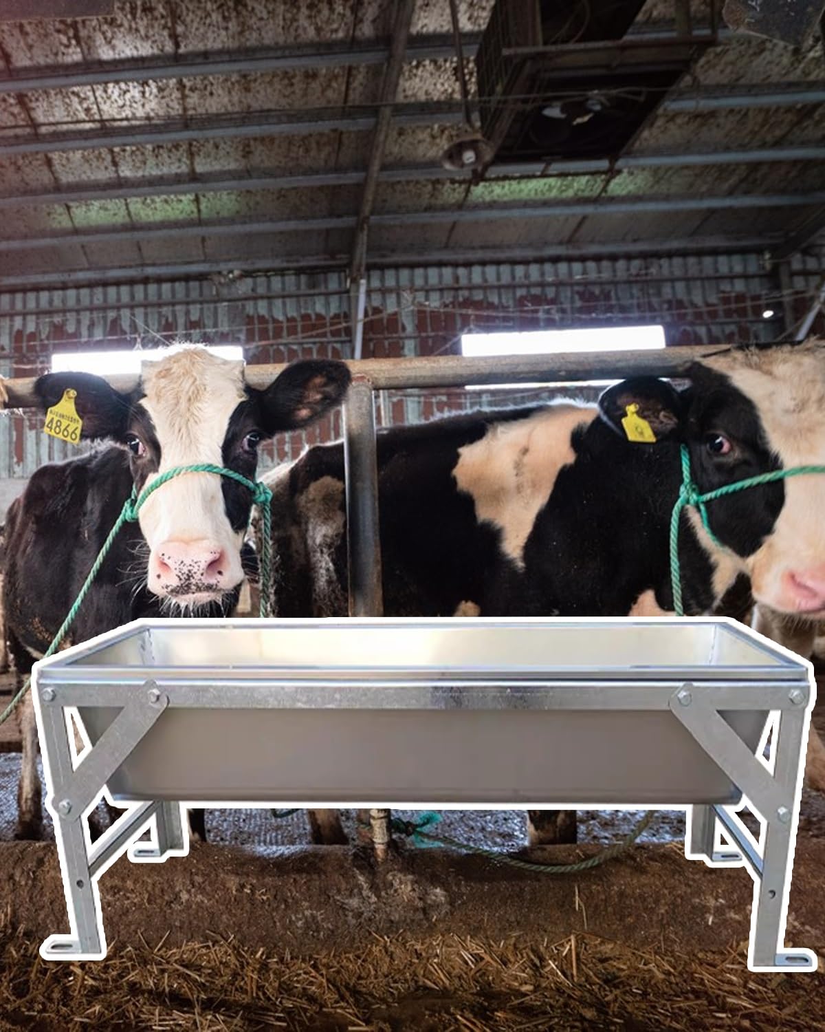 Comedero de Gran Capacidad para Animales de Granja: comedero y Bebedero para Ganado Vacuno, porcino, ovino, caprino y Aves de Corral con Soporte, 100 cm/39 Pulgadas. Ideal para la alimentaci