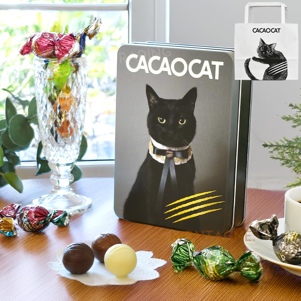 Amazon.co.jp: DADACA カカオキャット CACAOCAT チョコレート 黒猫缶