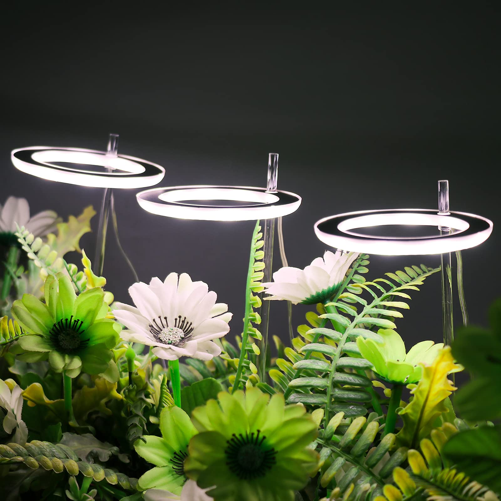 Lampe de croissance à 3 têtes LED pour plantes succulentes avec support, lampe annulaire, interface USB, lampe de croissance pour fleurs, éclairage de croissance pour plantes en pot (Blanc)