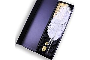 Ostrich Plume Dip Quill Pen Set w/ Craved Pattern Penstand Stem and Retro Crown Penholder