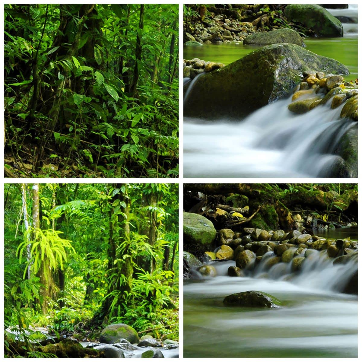 Deco Cadre Salon Plage Paysage Eau Pont Moderne Impression Sur Verre 120x80cm Image Tableau En Verre Decoration Murale Chambre Horizontal Art Grand XXL Tableaux Decoratifs Muraux GAA120x80-2535