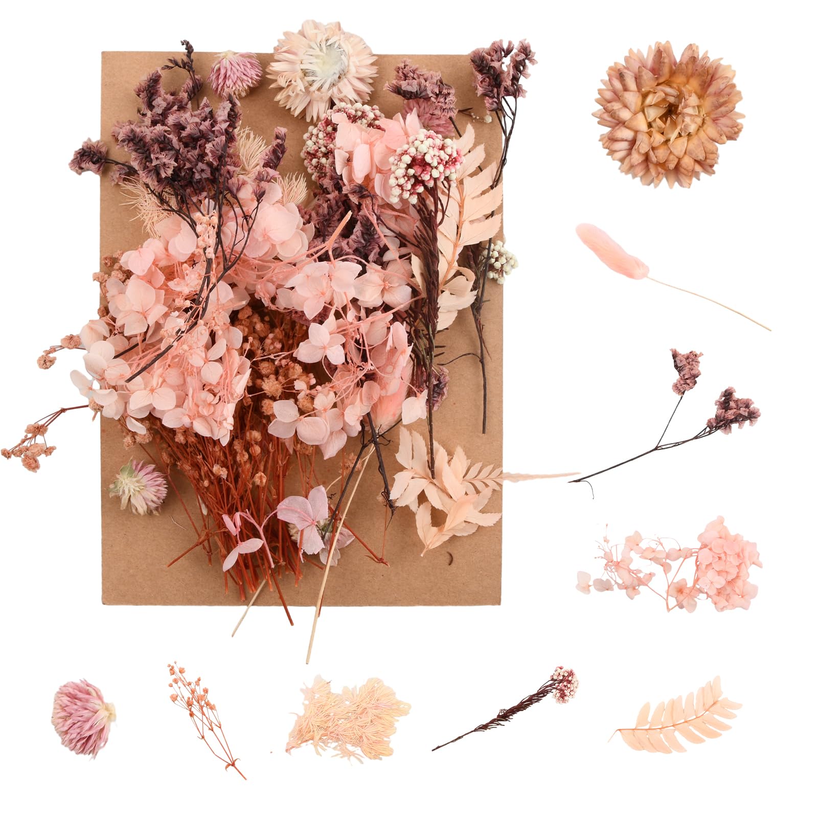 Cinvo 90 pezzi di veri fiori e foglie pressate, essiccate, petali di fiori naturali, essiccate, per candele, resina, gioielli, sapone, ciondoli per unghie, artigianato per telefono