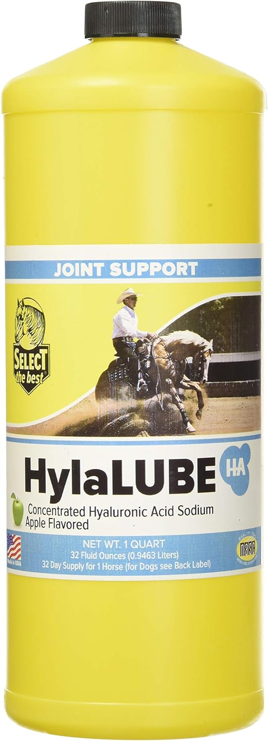 RICHDEL HylaLube, 1 Quart, Concentrated Hyaluronic Acid Sodium Animal Joint Support Supplement : Pet Supplies