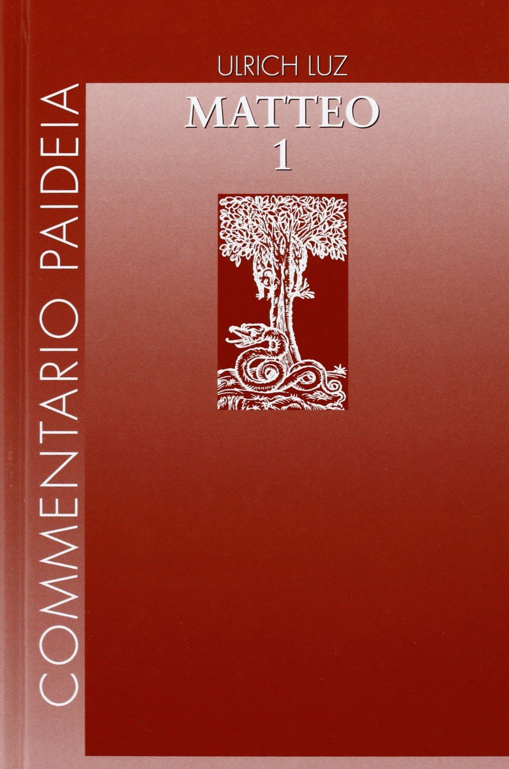 Vangelo di Matteo. Introduzione. Commento ai capp. 1-7 (Vol. 1)