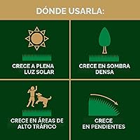 Vista 4 de Scotts EZ Seed Patch & Repair - Mantillo de sol y sombra, semillas de césped, combinación de fertilizantes para puntos desnudos y reparación, 3.75