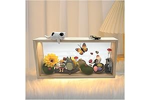 3D Shadow Box My Neighbor Totor Musical Box with 28pcs DIY Ghibli Decor