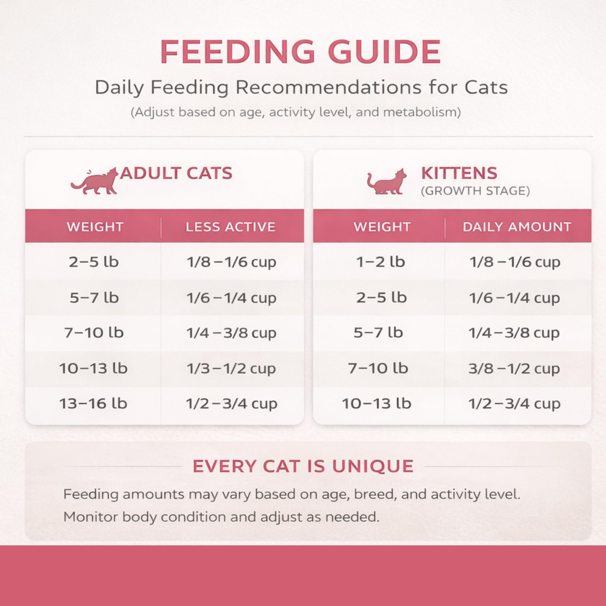 Firstmate Pet Foods Renaissance alimento para gatos sin granos con arándanos