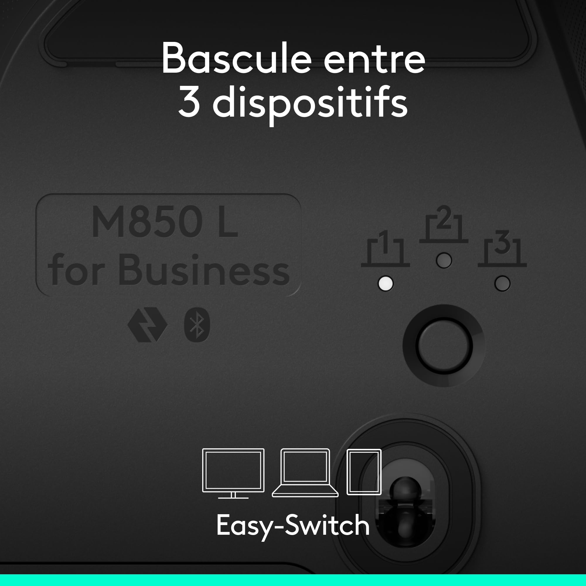 Logitech Signature Comfort Plus M850 L for Business, Souris sans Fil, Design profilé avec Repose-Poignets, clics Silencieux, récepteur sécurisé/Bluetooth, Windows/Mac/ChromeOS/Linux/iPadOS - Graphite