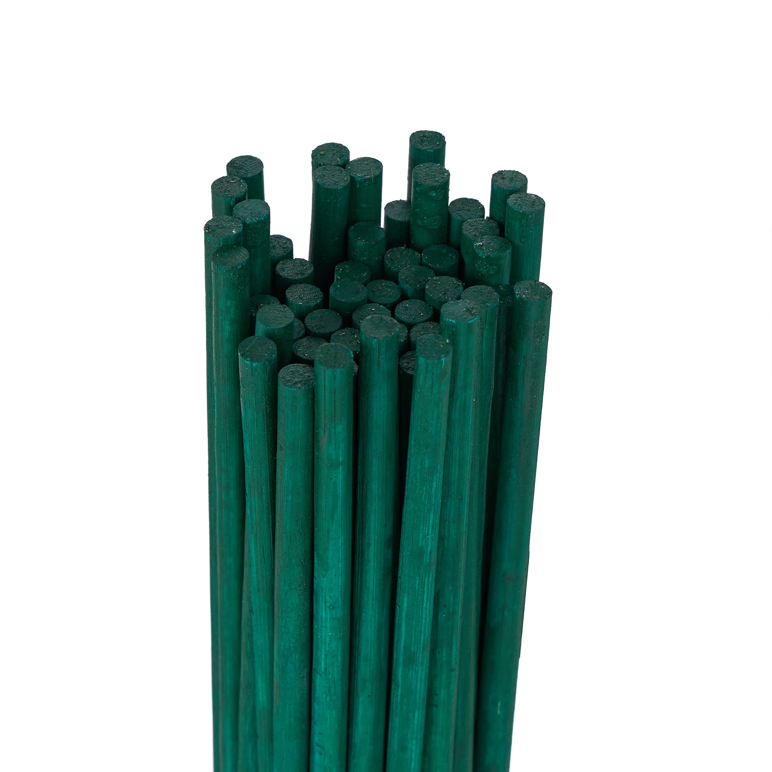 Relaxdays Set da 50 Bastoncini per Piante, Supporti per Rampicanti, Verdure, Ø 6mm, Fili da Legatura incl., 60cm, Verde