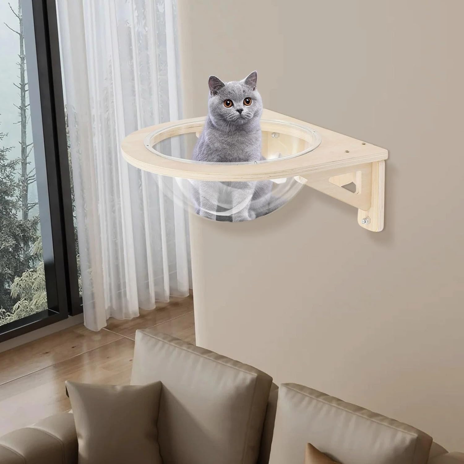 Space Capsule Style Transparent Cover Cat Bed,15.8 * 15.8 * 6in Wall Mounted Cats Shelf House,Perch Seat for Sleeping,Thai Rubber Wood,for Living Room Pet Room,Load of 16.5 Lbs.