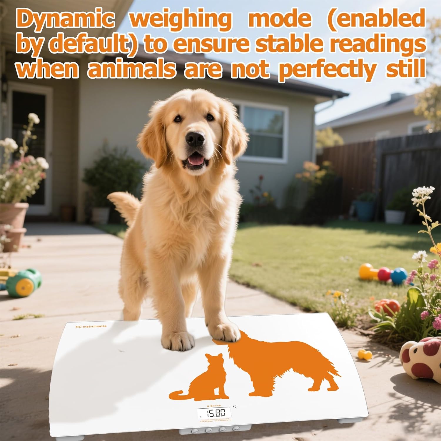 Digital Weighing Scale for Dogs Cats Puppies, Vet Scale, Scale for Animals Pets, 330lb x 0.1lb, Veterinary Scale, 33 x 19in Wide Platform, 8mm Tempered-Glass
