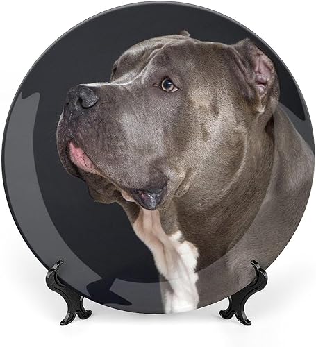 Placa decorativa para montaje en pared, placa redonda de cerámica American Pit Bull Dog con soporte, platos para el hogar, platos de postre