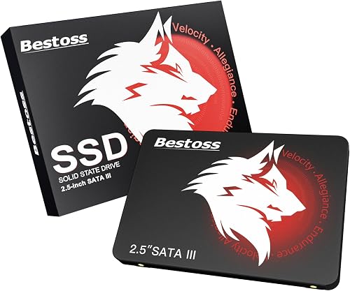 Bestoss 256GB SSD Internal - 2.5 Inch SATA III State Drive, Up to 550MB/s