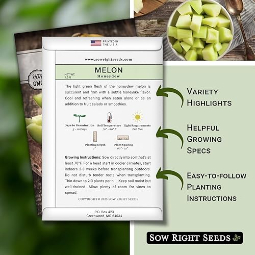 Miniatura 2 de Sow Right Seeds - Semillas de melón de melón verde para plantar - Paquete de reliquia sin OMG con instrucciones para plantar un huerto casero -