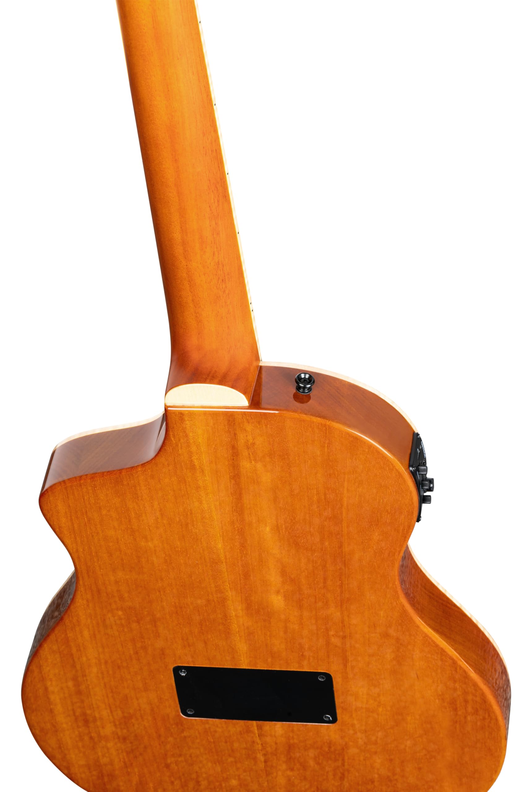 Ortega RTPDLX-FMA Flamed Maple Blue Tour Player - 4/4 Konzertgitarre