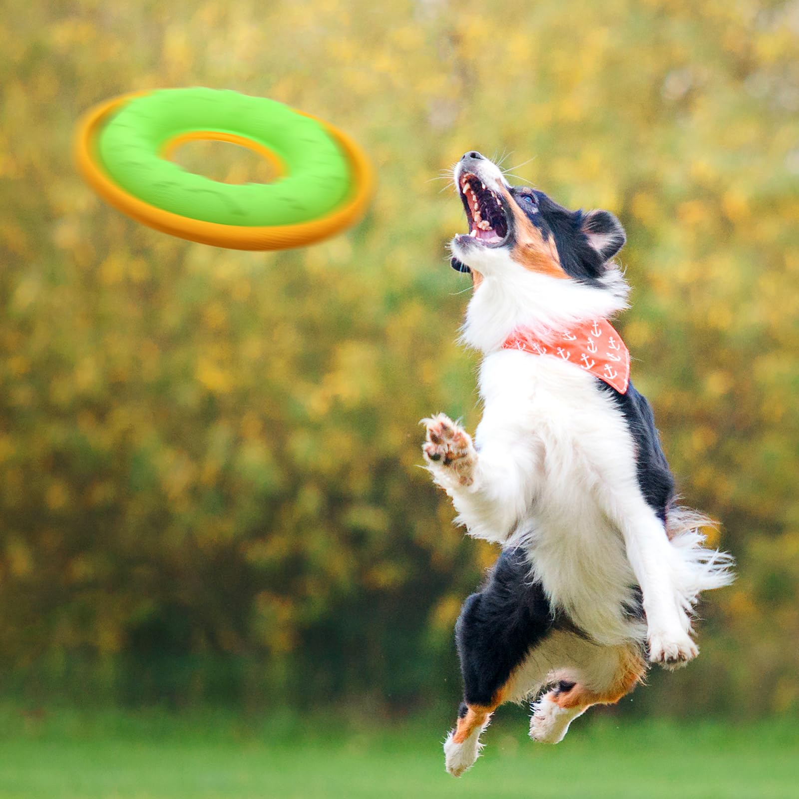 3 Stück Haustier-Flugscheiben – 22,9 cm, interaktives Flyer-Spielzeug, fütterbar, leichtes Fang- und Apportierspielzeug für kleine, mittelgroße und große Hunde, schwimmt im Wasser und sicher
