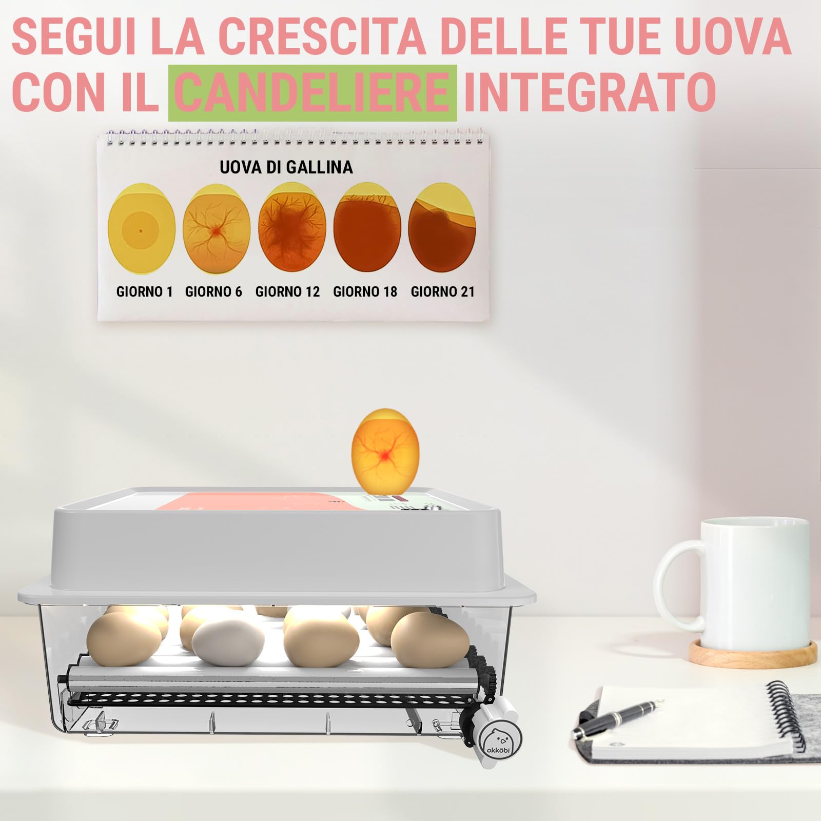OBI-36 Incubatrice Automatica – Incubatrice uova per 36 uova con Rivoltamento Automatico - Incubatrice uova gallina, quaglia e anatra - Arancione