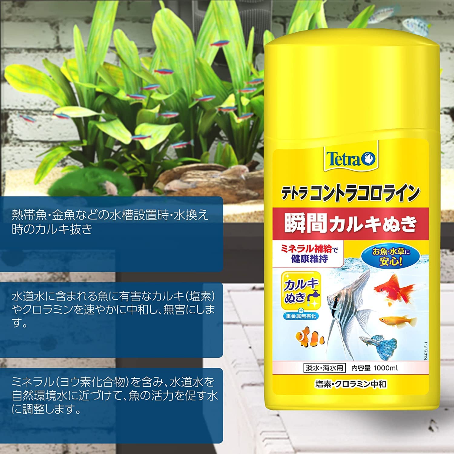 Amazon.co.jp: Tetra テトラコントラコロライン1000ml 6本セット