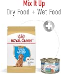 Royal Canin Breed Health Nutrition Poodle Puppy Dog Dry Food, 2.5 Sac sur mesure pour les chiots de Poodle jusqu'à 10 Mois, la forme de kibble spécialisée, soutient la digestion saine, la formule antioxydante-rich