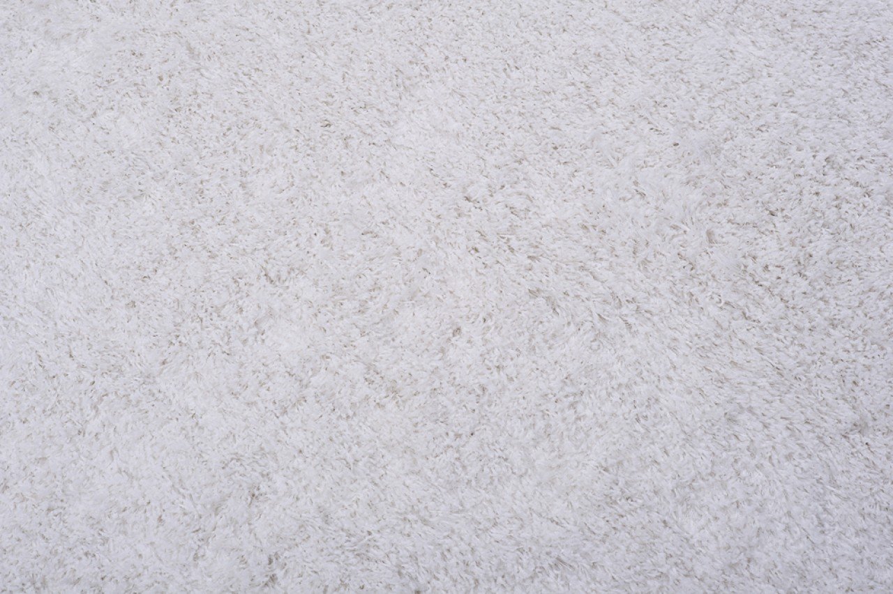 Tapiso Optymalny dywan Shaggy, do salonu, z wysokim runem, jednokolorowy, biały, antyczny, biały, do sypialni, pokoju gościnnego, Ökotex 80 x 150 cm