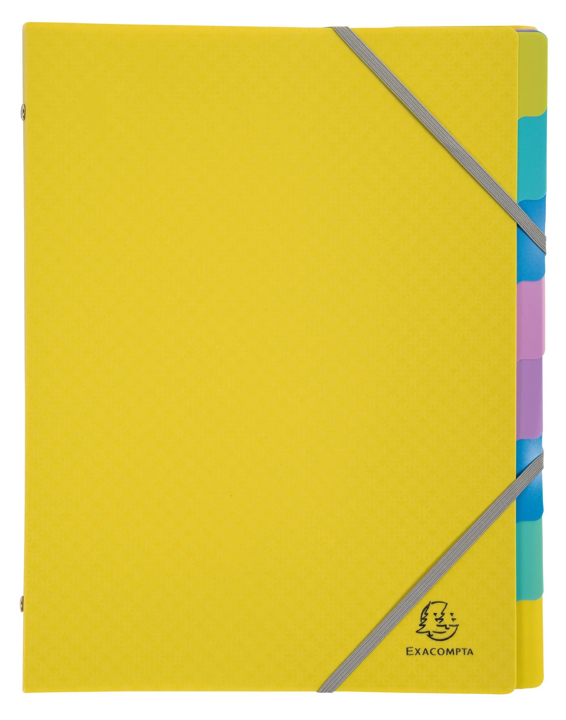 Exacompta, Ref 56190E, Box of 8 Forever Young File Boxes, 3 Flaps with Elastic Bands - Image 3