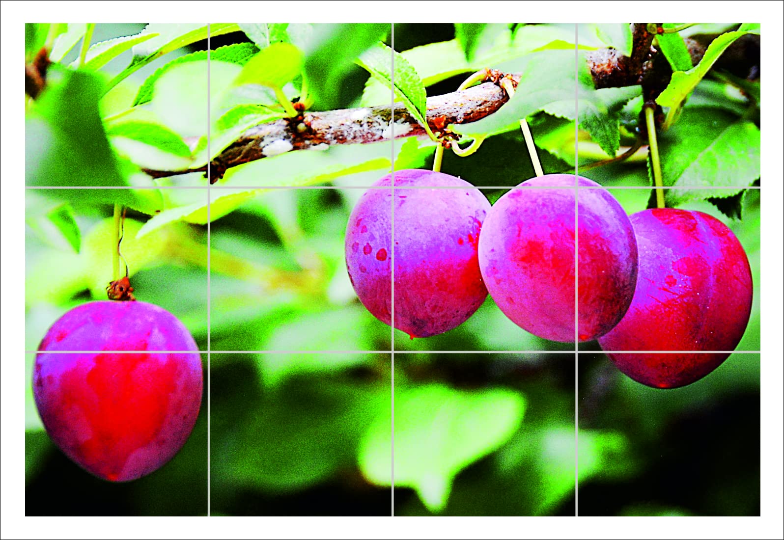 Decals Creation Kitchen Wall Sticker (Multicolor, Size - 50 Cm X 68 Cm) Ice Cherry Fresh Fruits Kitchen Wall Sticker (B0B71RJKCP) Amazon Price History, Amazon Price Tracker