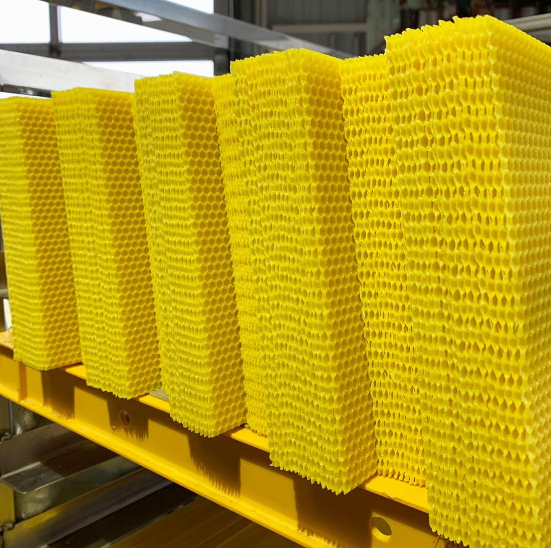 1 KG Mittelwände Zander 395 x 195 mm für Zanderbeuten Rähmchen Bienen Imkerei rückstandsarm