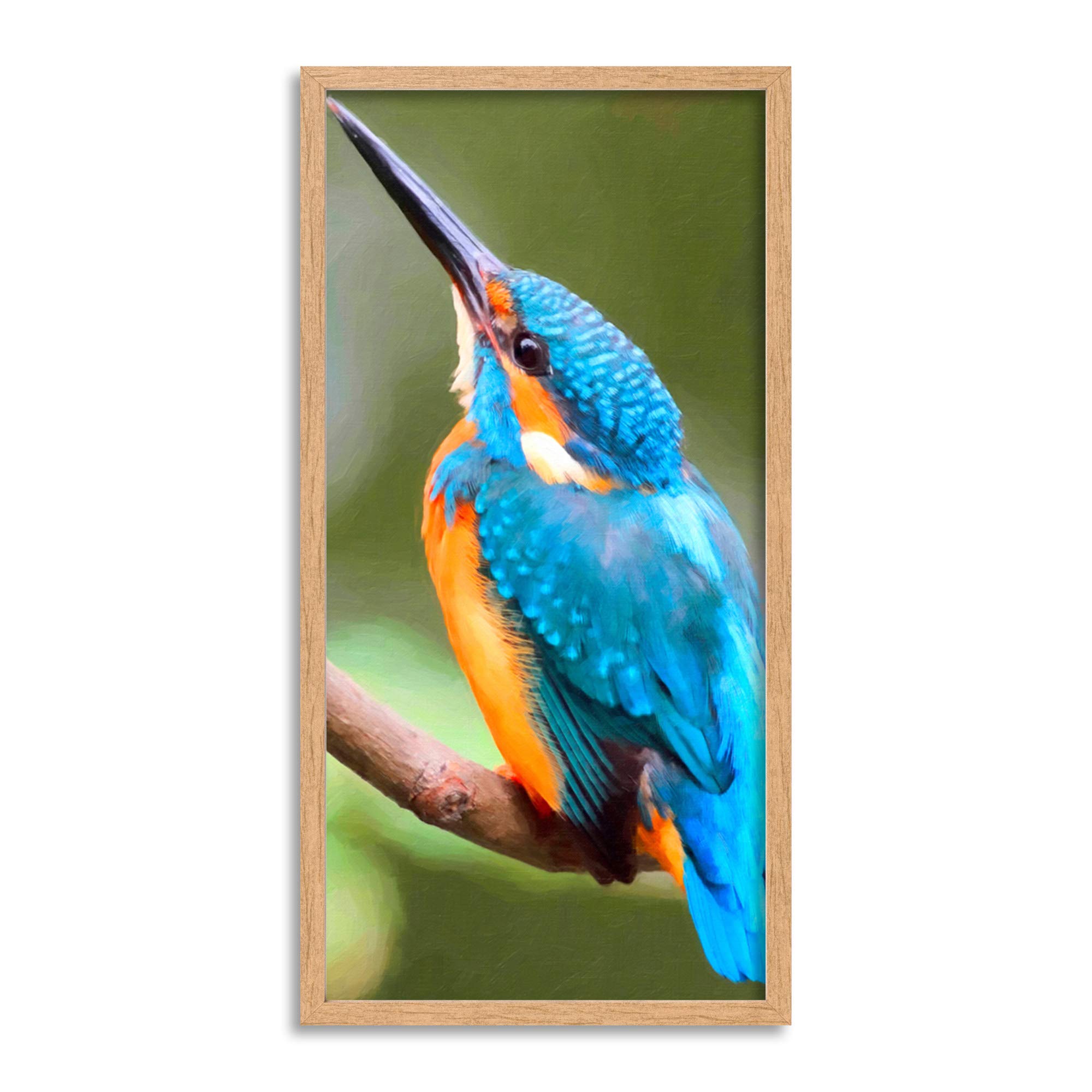 Wee Blue Coo Kingfisher Beautiful Bird Long Panel Framed Wall Art Print