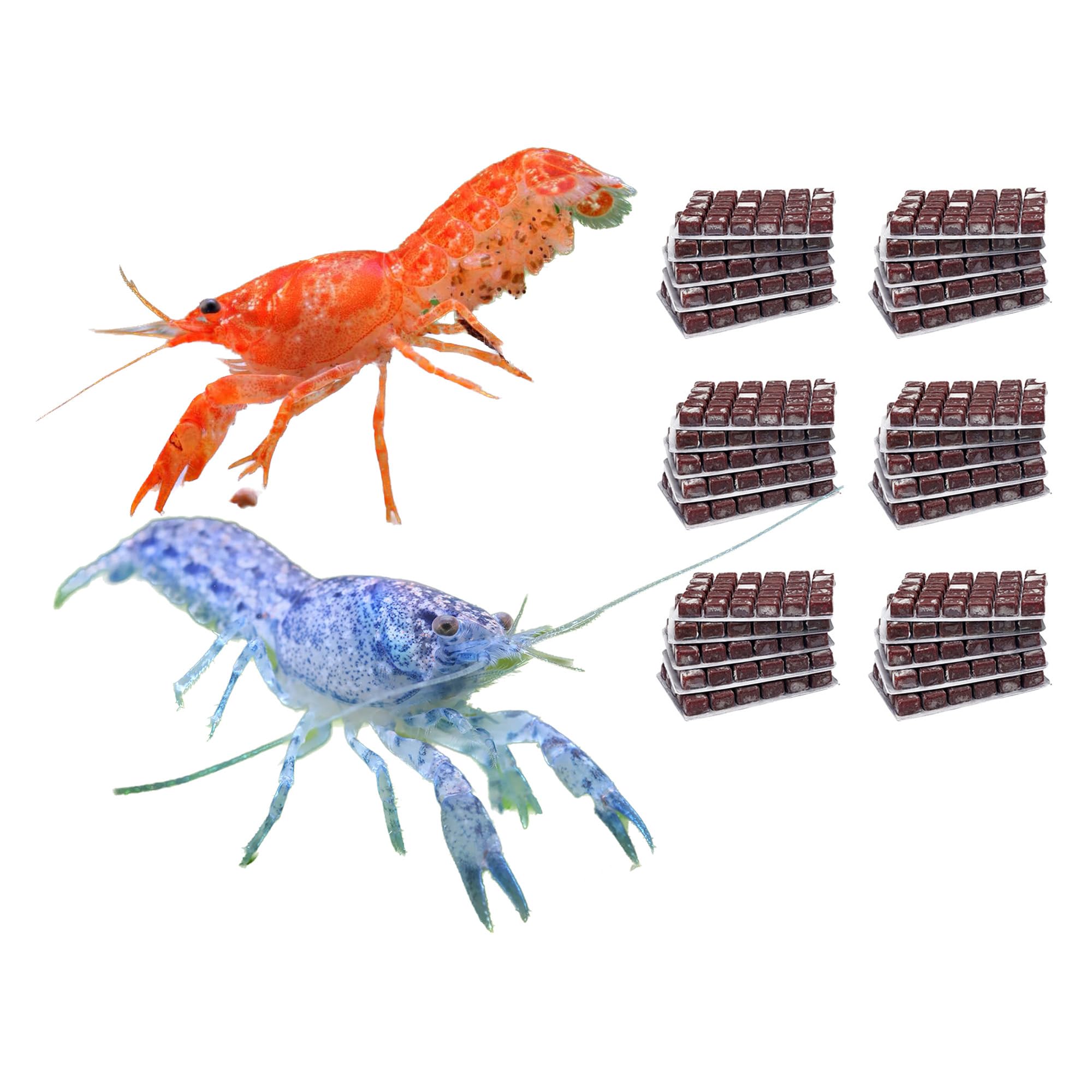 NatureHolic Frostfutter Mix für Zwergflusskrebse | 24 Blister á 100g | Artemia Copepoden mit Knoblauch Weiße und Rote Mückenlarven | Schonend gefrostet für gesunde Ernährung und leuchtende Farben