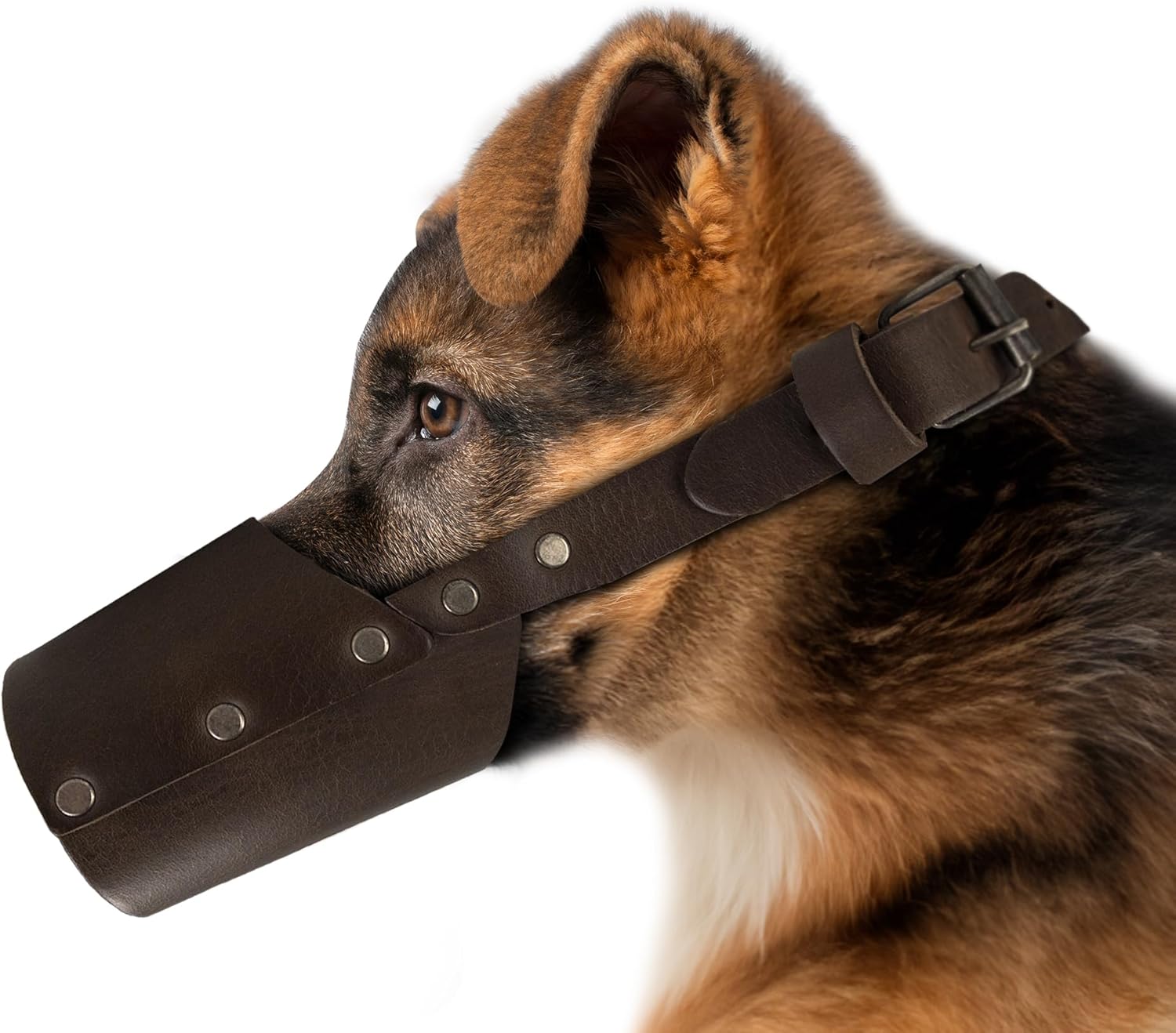 Hide & Drink, Leather Dog Muzzle Guard, Secure, Prevents