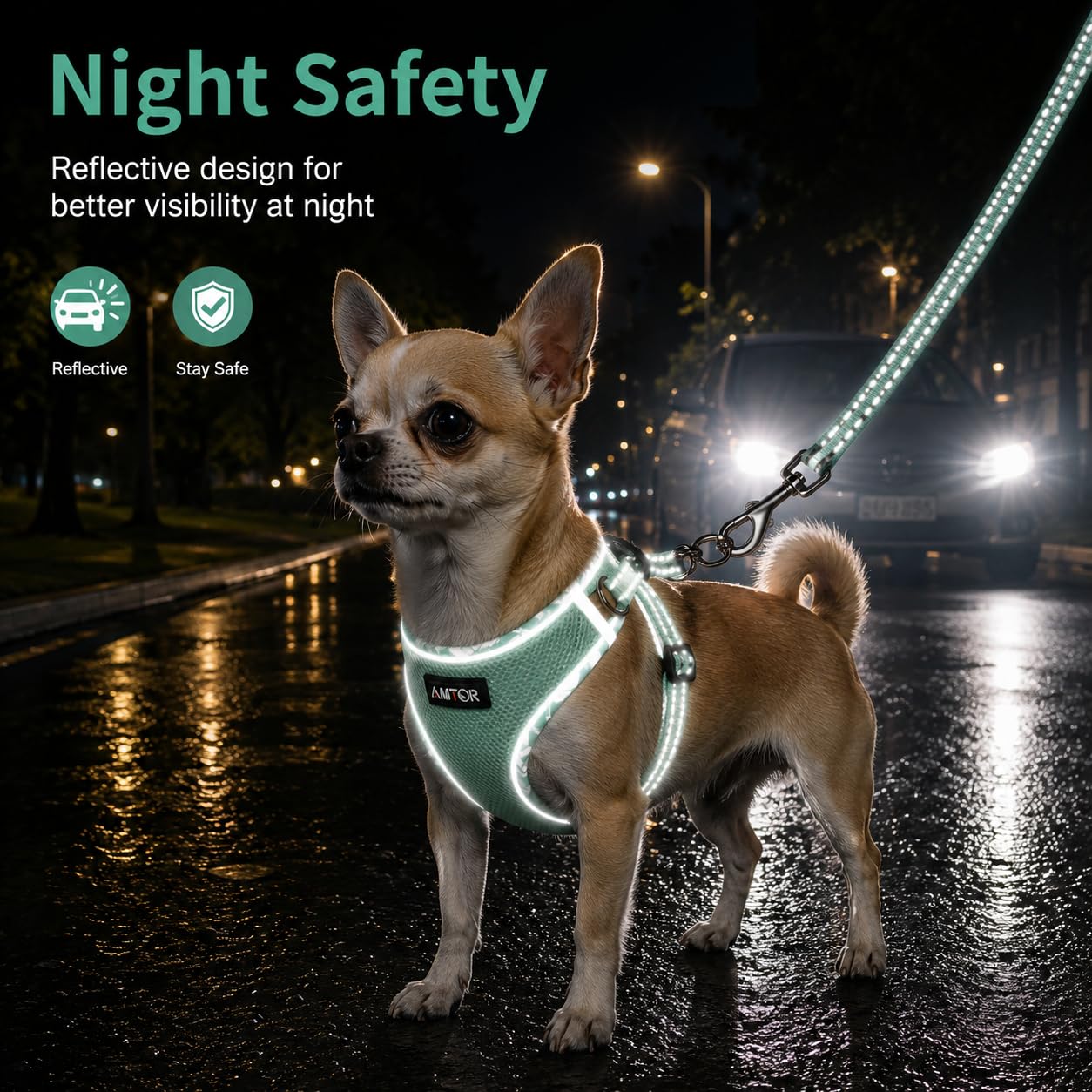 AMTOR Arnés para perros con correa de juego, arnés reflectante ajustable para cachorros con chaleco acolchado para perros y gatos extragrandes/pequeños, medianos y grandes (verde)
