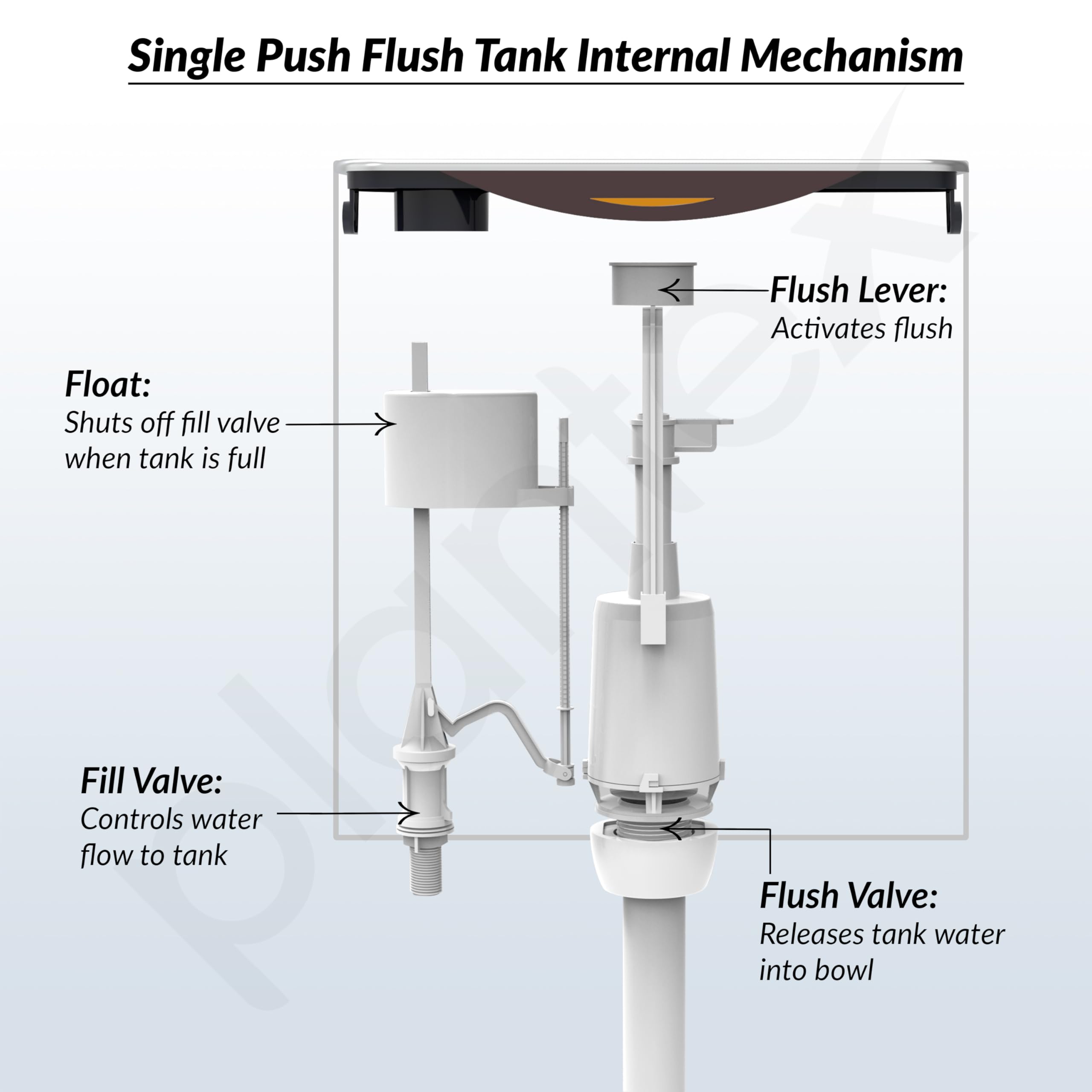 Plantex Flush Tank for Toilet with 10 Ltr Water Capacity/Single Flushing Cistern for Bathroom/Polypropylene Toilet Flush Tank - Pack of 1 (Boss, Brown & White) 4