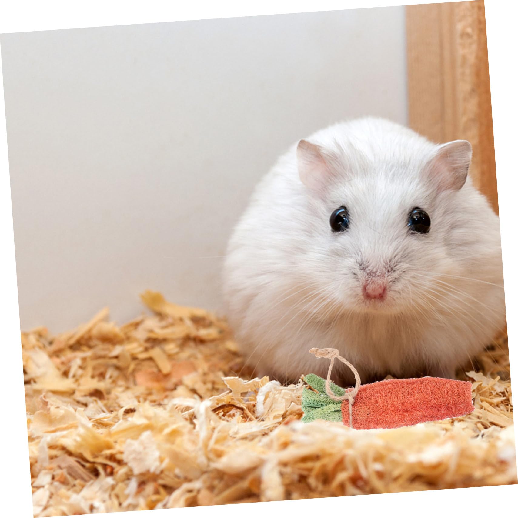 BESPORTBLE 8pièces Jouets à Mâcher pour Hamsters Décoration pour Cage De Hamster Accessoires pour Lapins Jouets pour Petits Animaux