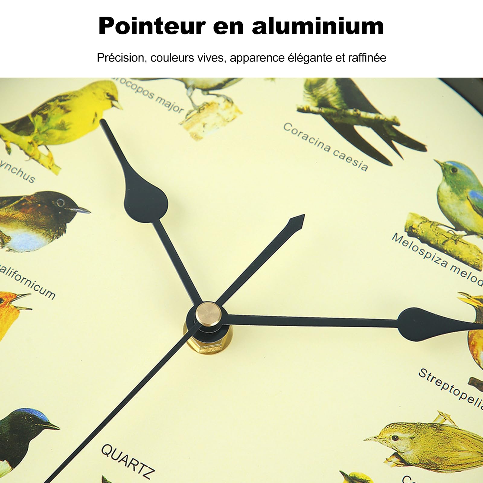 Ergocar Chant De Mur d'Oiseau Horloge Murale Douze Oiseau Chantant Batterie Alimentée (33,02 Cm) 13 Pouces