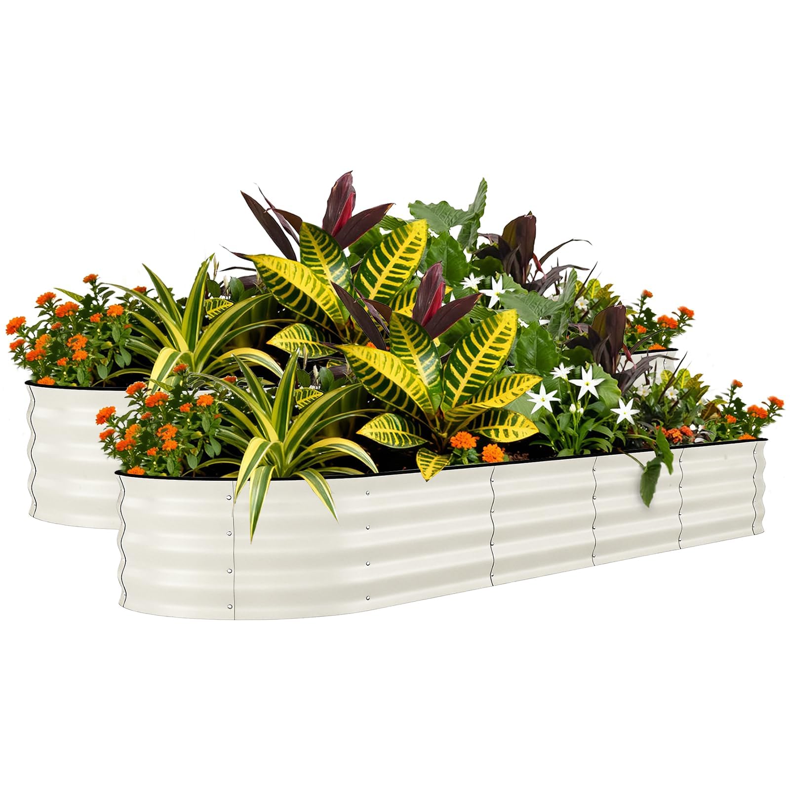 Crevyteg 2 Pack 8x2x1.5ft Galvanized Steel Raised Garden Beds – Weather-Resistant, Oval Planter Boxes for Outdoor Gardening – Open-Base Drainage, Rust-Proof, Tool-Included Assembly – Beige