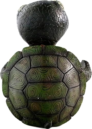 Miniatura 6 de Juego de salero y pimentero con soporte, estatuas decorativas de tortuga para cocina, bar, decoración de restaurante, regalos de tortugas marinas