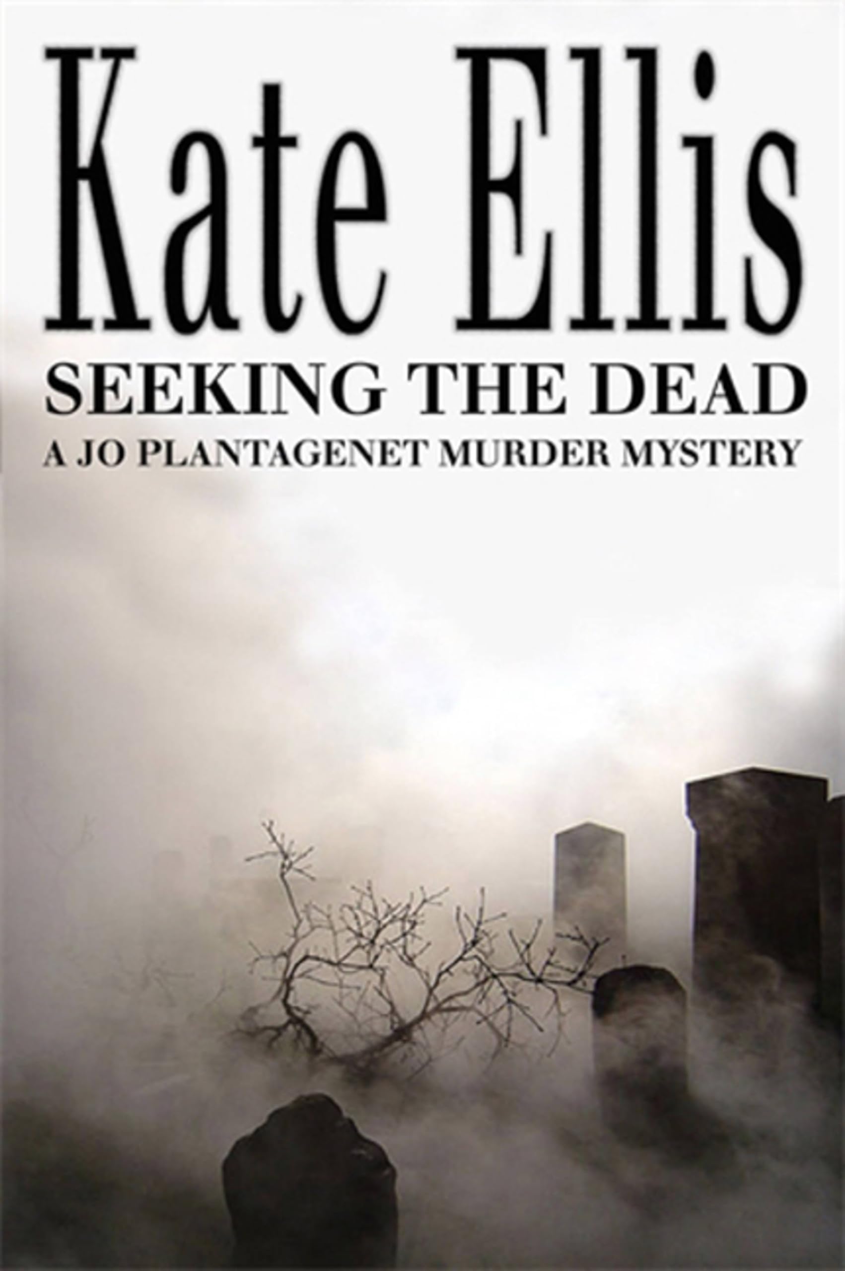 Seeking The Dead: Book 1 in the DI Joe Plantagenet crime series - Ellis, Kate