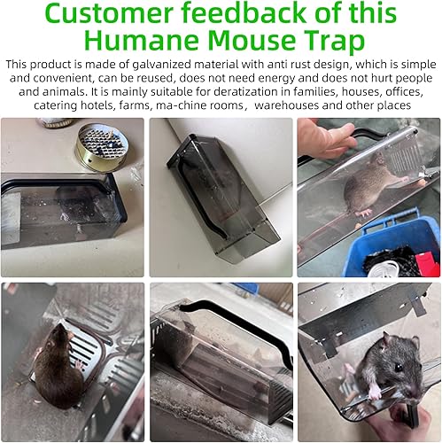 Miniatura 2 de Trampa para Ratones Humana Mejorada 2026 para Interiores, Trampa de Jaula Viva para Animales con Pestillo de Seguridad, Trampa Transparente para