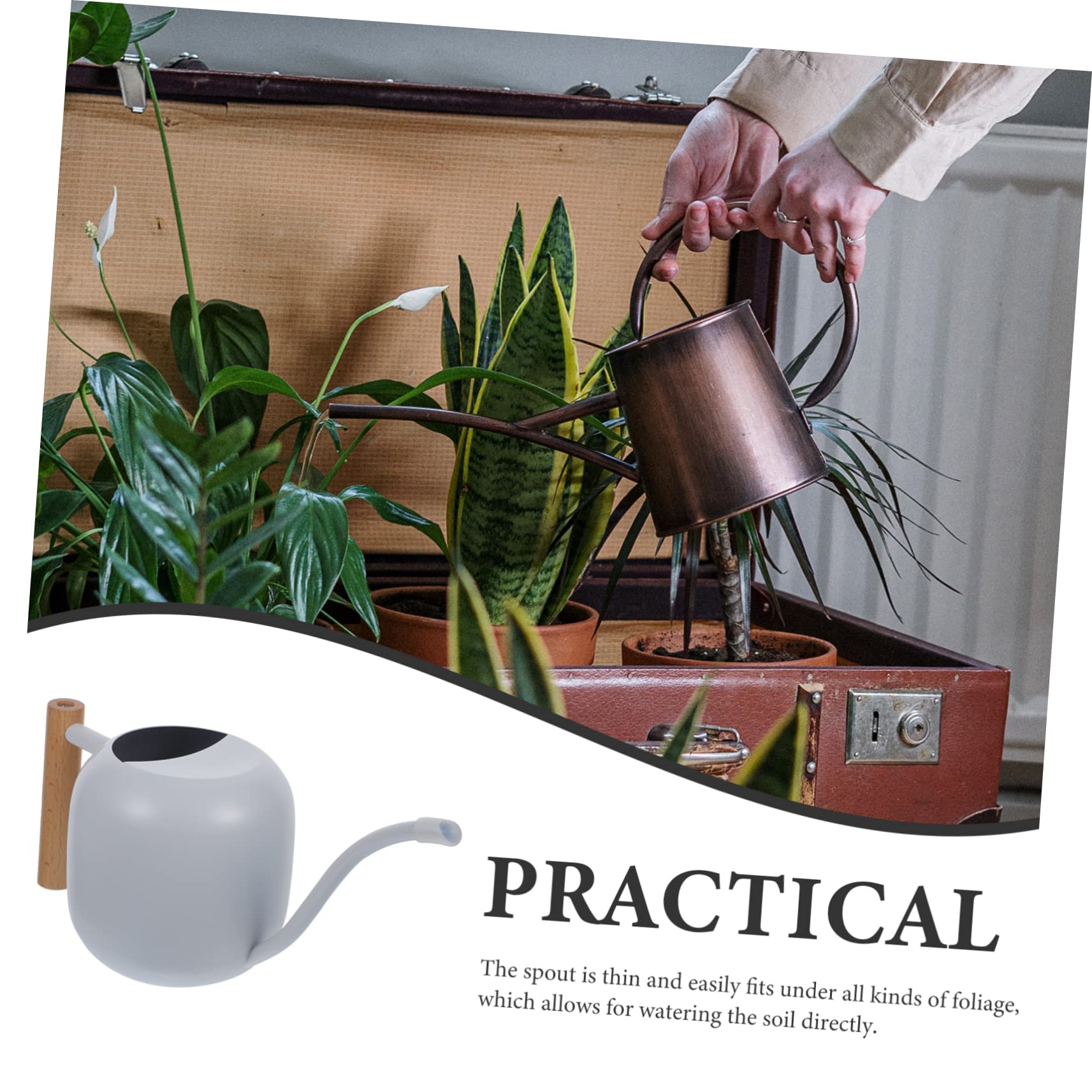 HANABASS Arrosoir à Long Bec 1,2 L Poignée en Bois en Acier Inoxydable pour Plantes D’intérieur et Fleurs, Usage Maison et Jardin