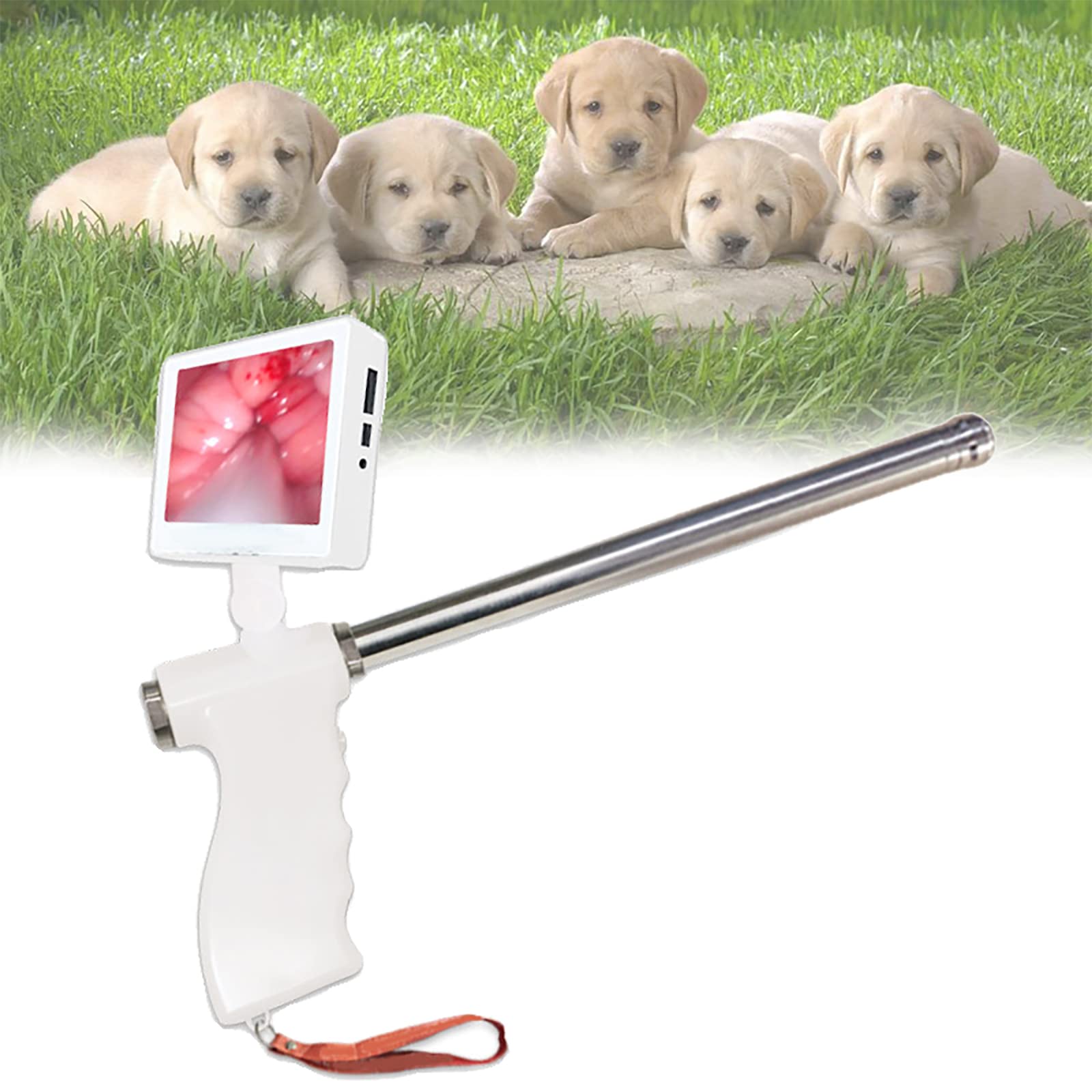 Buy Artificial Insemination , Dog Visual Endo Sperm Artificial