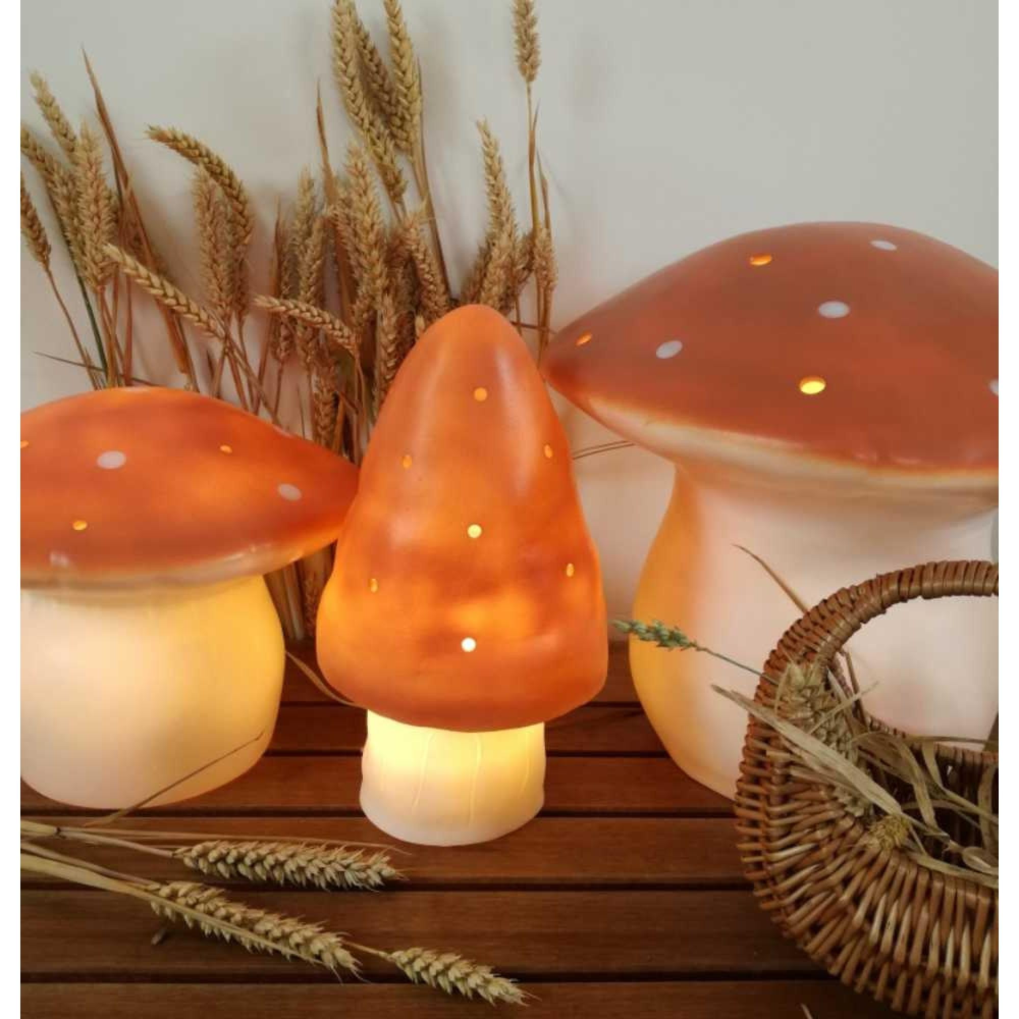 Pilz-Medium-Terra-Lampe