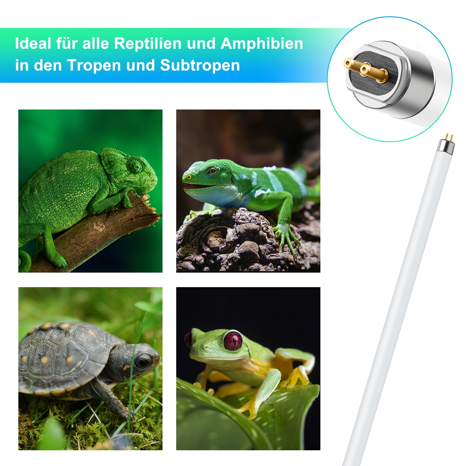 LUCKY HERP Lámpara UVB de terrario T8 para reptiles UVA UVB 5.0 14 W (38 cm), lámpara UVA UVB terrario para reptiles, tortugas, dragones barbudos, serpientes, lagartos y anfibios