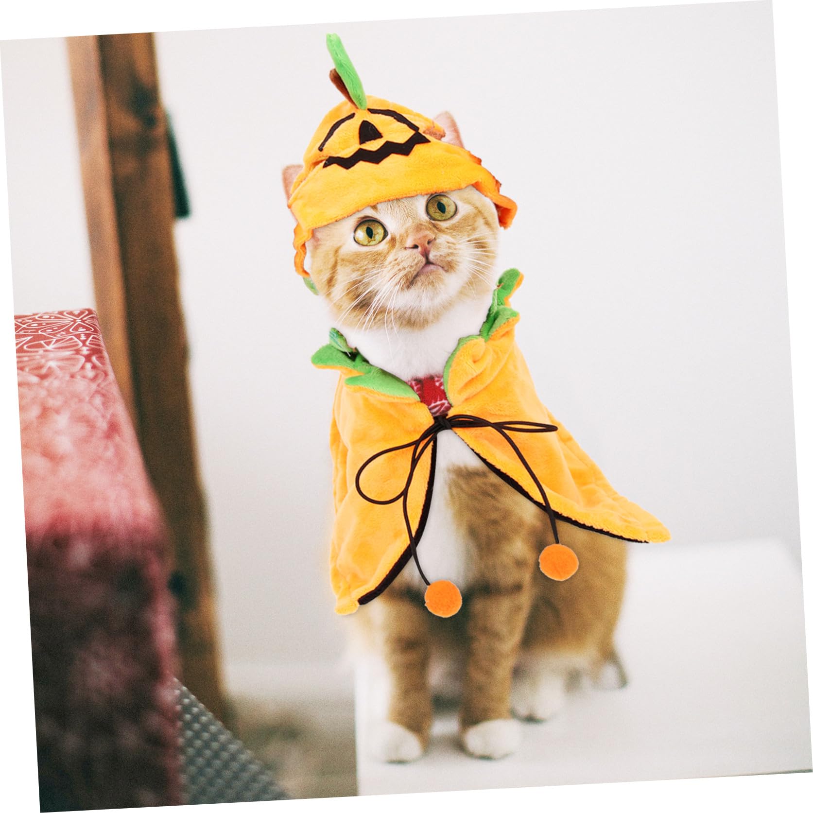 Sosoport 5sets Costume Per Animali Domestici Cappello e Mantello Forma Di Zucca Per Halloween Accessori Per Cani e Gatti Facile Da Indossare