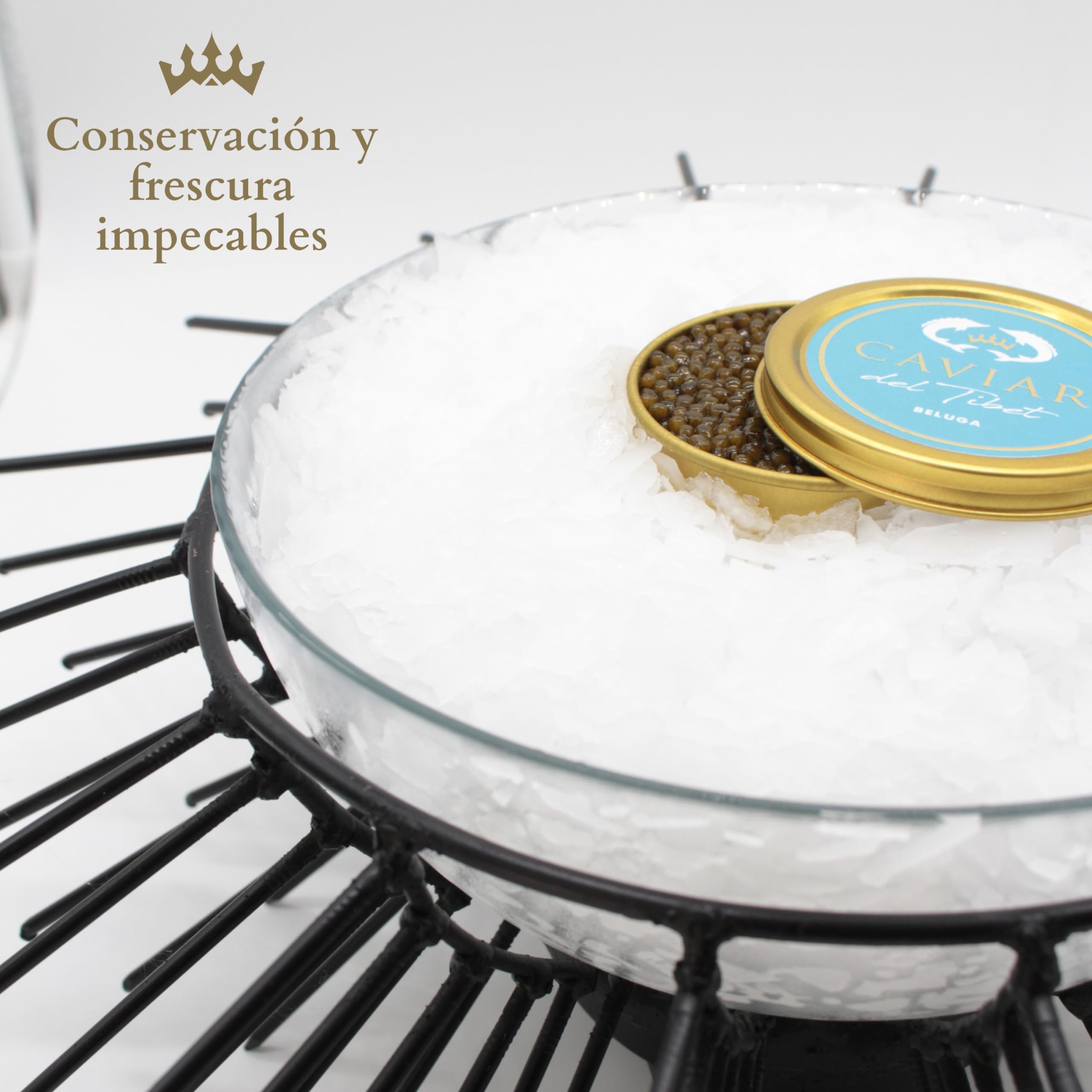 Caviar del Tíbet – Caviar Beluga 100 GR – Caviar de Esturión Huso Dauricus – Huevas de Caviar Kaluga – Caviar Gourmet…