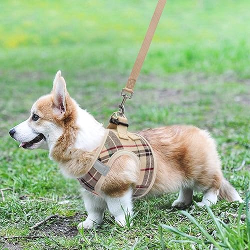 Miniatura 6 de Arnés de malla suave para cachorros  Juego de arnés y correa para perros pequeños, ajustable y cómodo chaleco reflectante acolchado para cachorros y